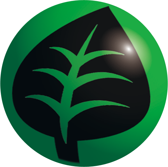 Grass