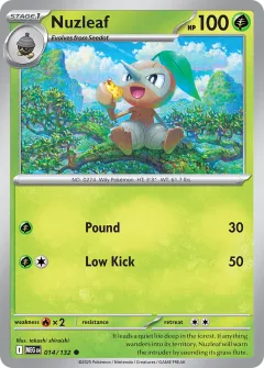 Mega Evolution